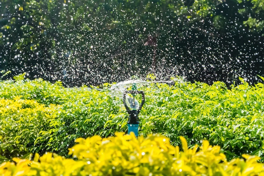 bore water for garden