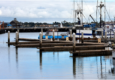 Floating Docks vs