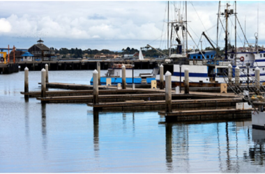 Floating Docks vs