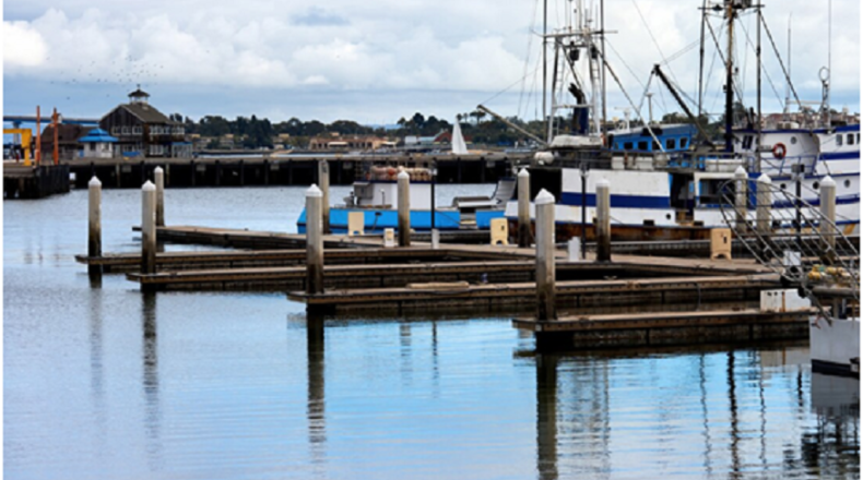 Floating Docks vs