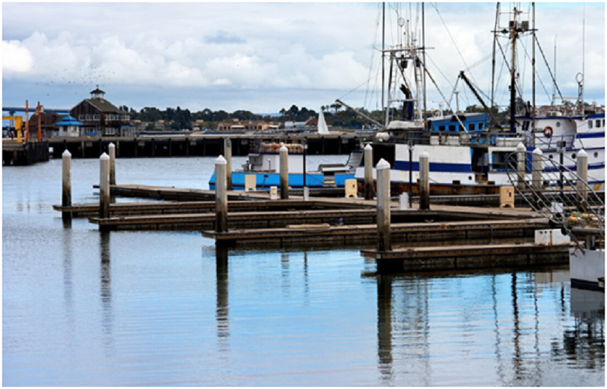 Floating Docks vs
