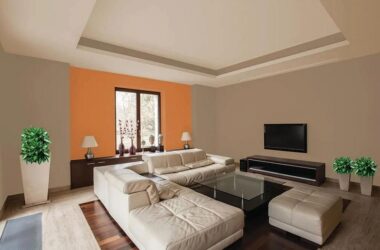 distemper paint