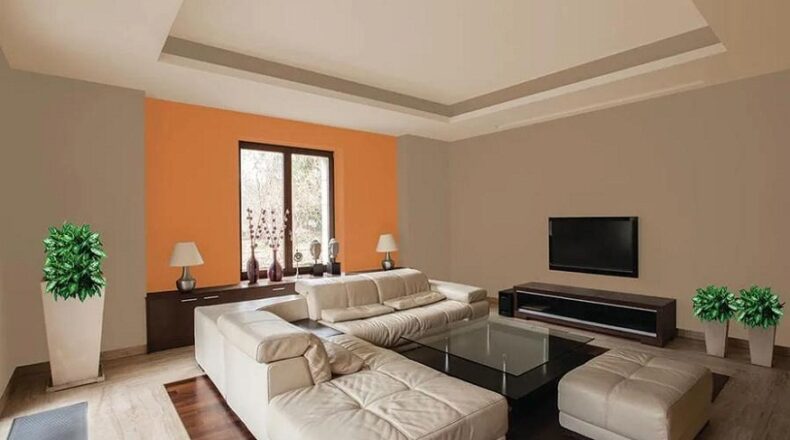 distemper paint